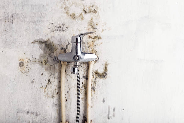 Best Water Damage Restoration  in Cresson, PA