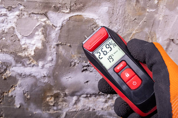 Best Mold Testing  in Cresson, PA