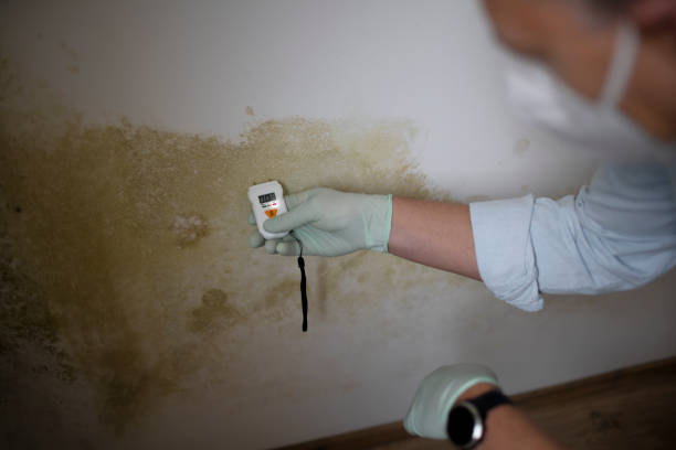 Water Damage Restoration in Cresson, PA