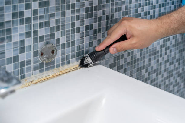 Best Certified Mold Removal  in Cresson, PA
