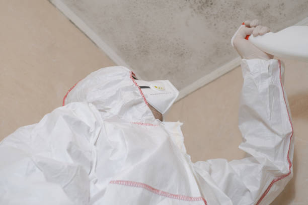 Trusted Cresson, PA Mold Removal Experts